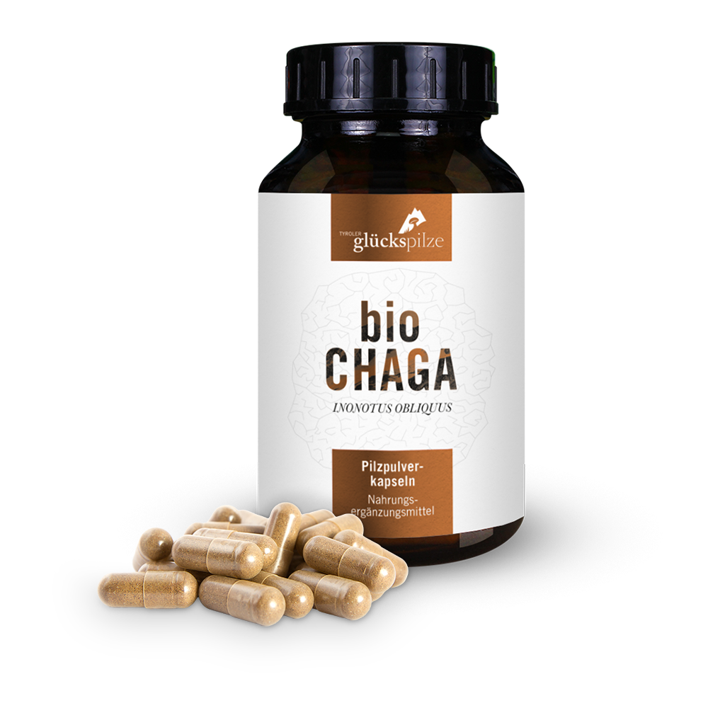 Bio Chaga Pulver Kapseln 120 Stk