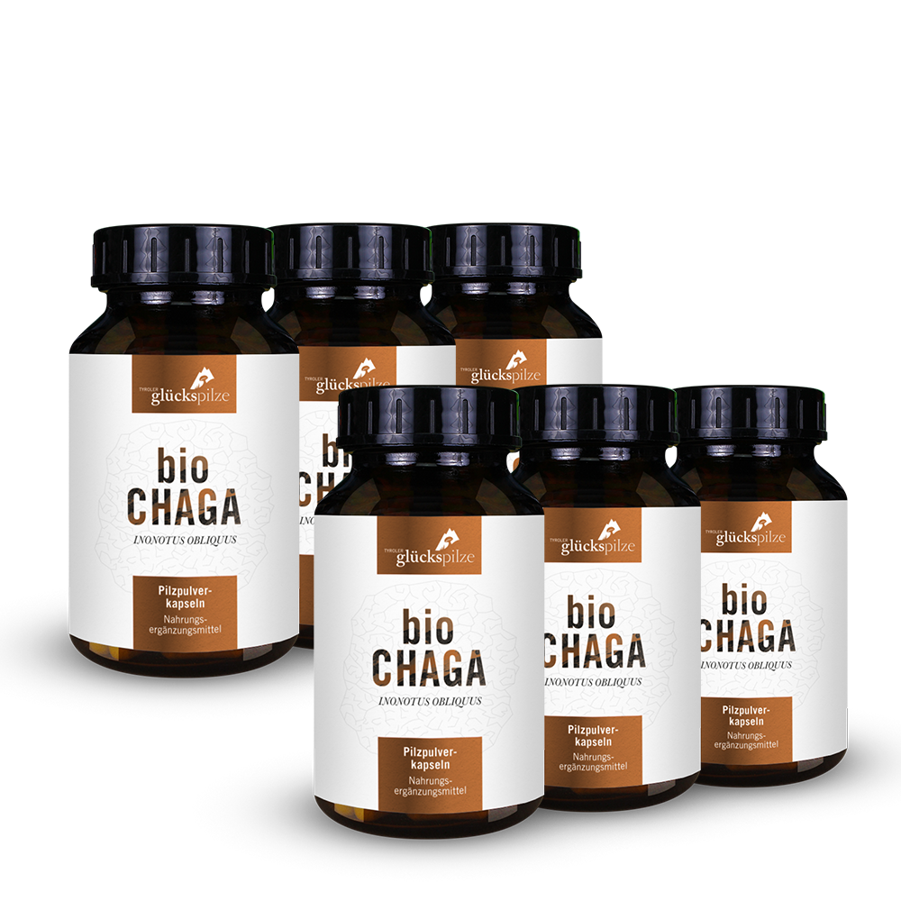 Bio Chaga Pulver Kapseln 120 Stk