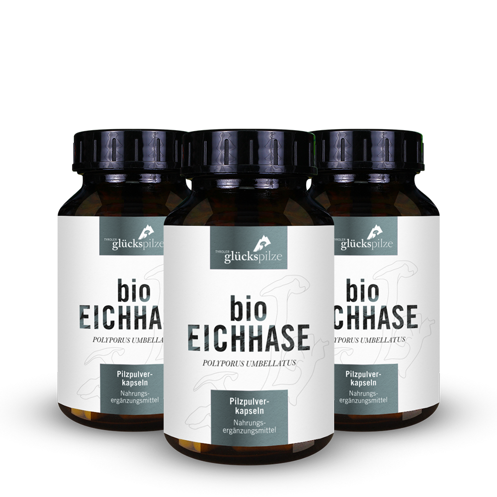 Organic Eichhase (Polyporus) powder capsules 120 pieces