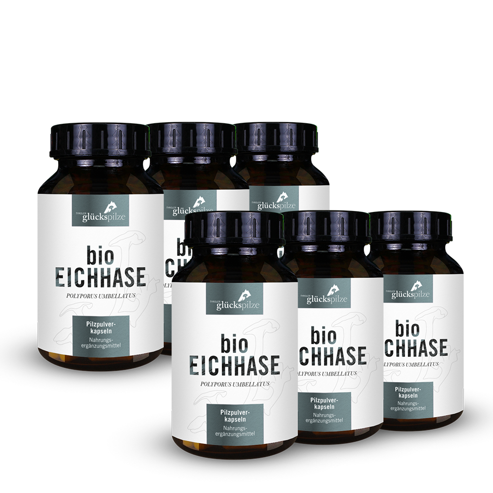 Organic Eichhase (Polyporus) powder capsules 120 pieces