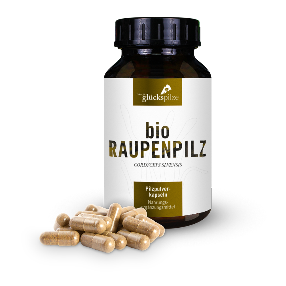 Bio Cordyceps sinensis (Raupenpilz) Pulver Kapseln 120 Stk