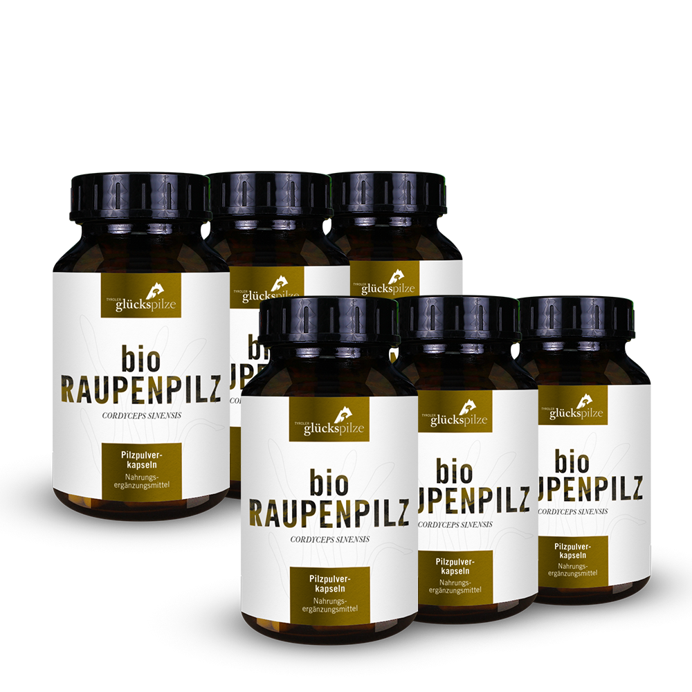 Bio Cordyceps sinensis (Raupenpilz) Pulver Kapseln 120 Stk