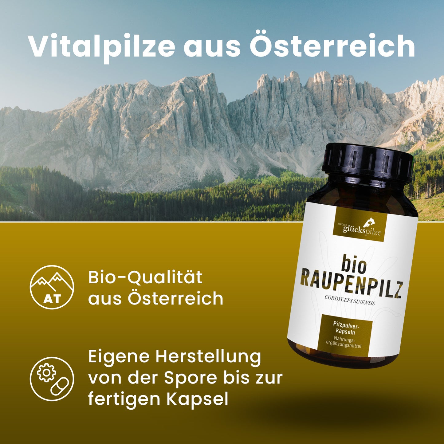 Bio Cordyceps sinensis (Raupenpilz) Pulver Kapseln 120 Stk