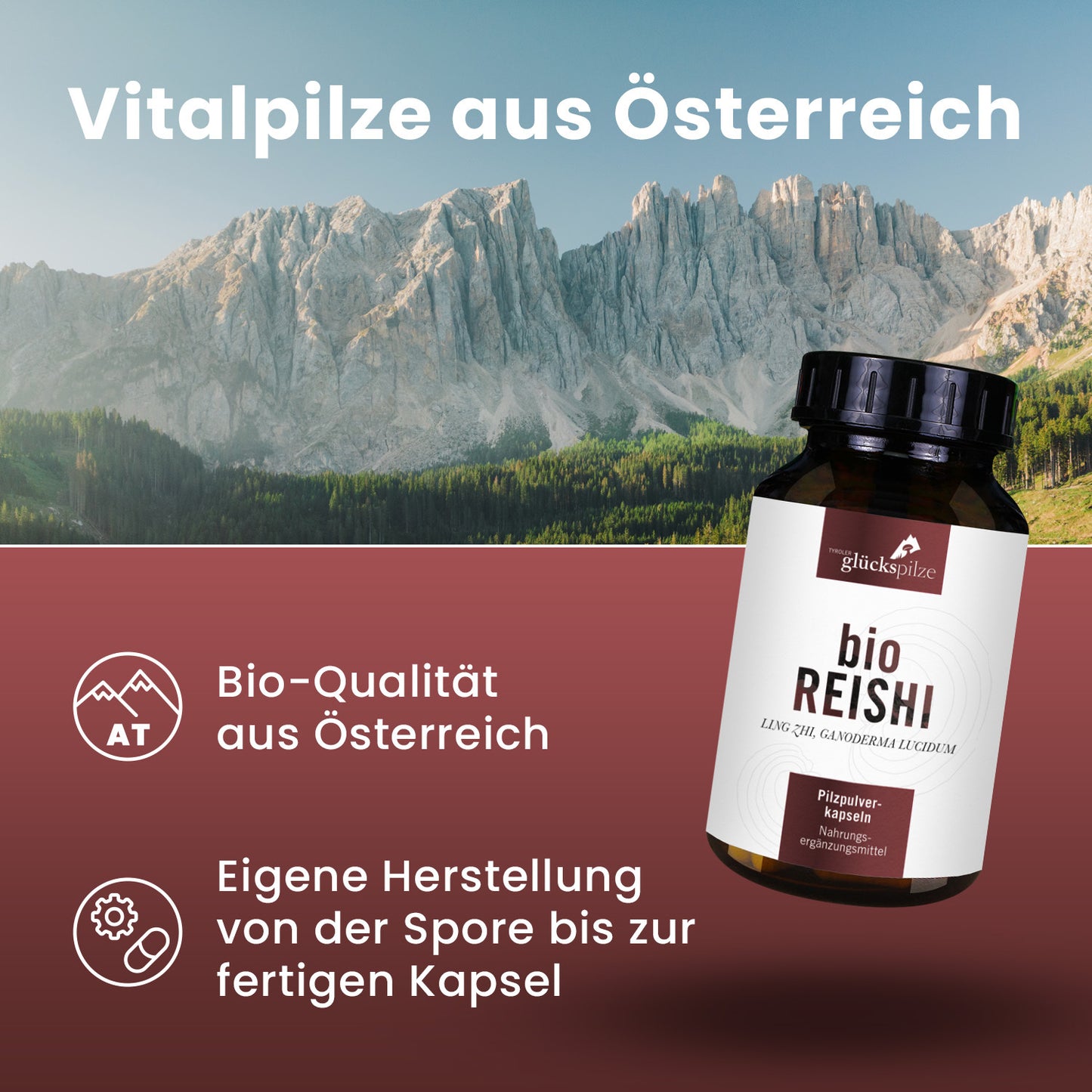 Bio Reishi (Gandoderma lucidum) Pulver Kapseln 120 Stk