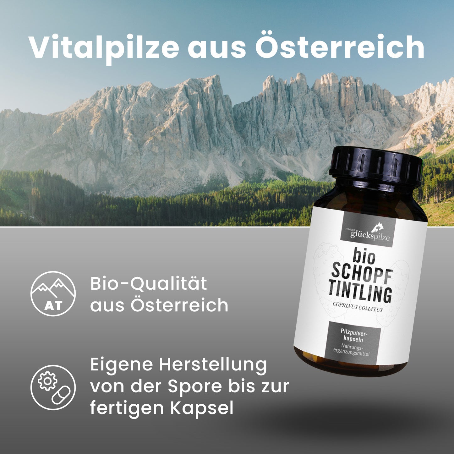 Bio Coprinus (Schopftintling) Pulver Kapseln 120 Stk