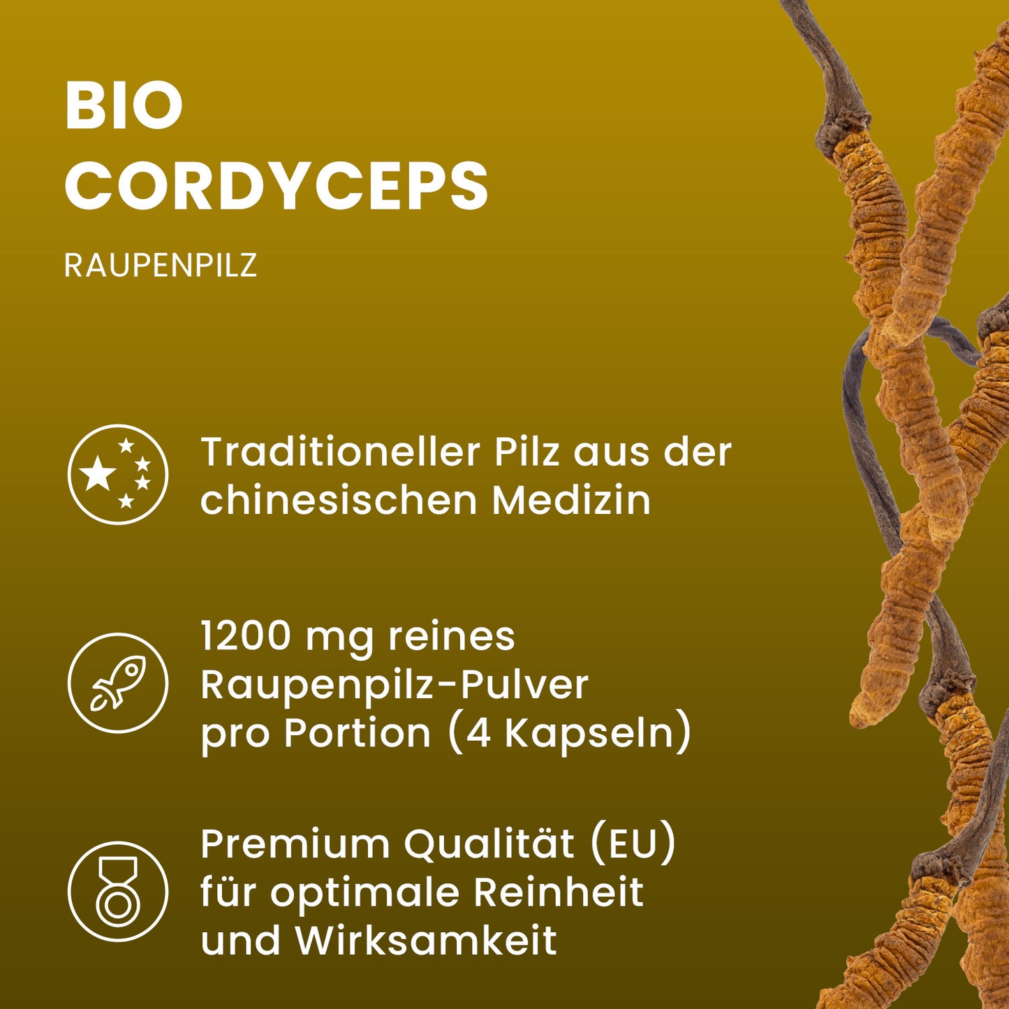 Bio Cordyceps sinensis (Raupenpilz) Pulver Kapseln 120 Stk