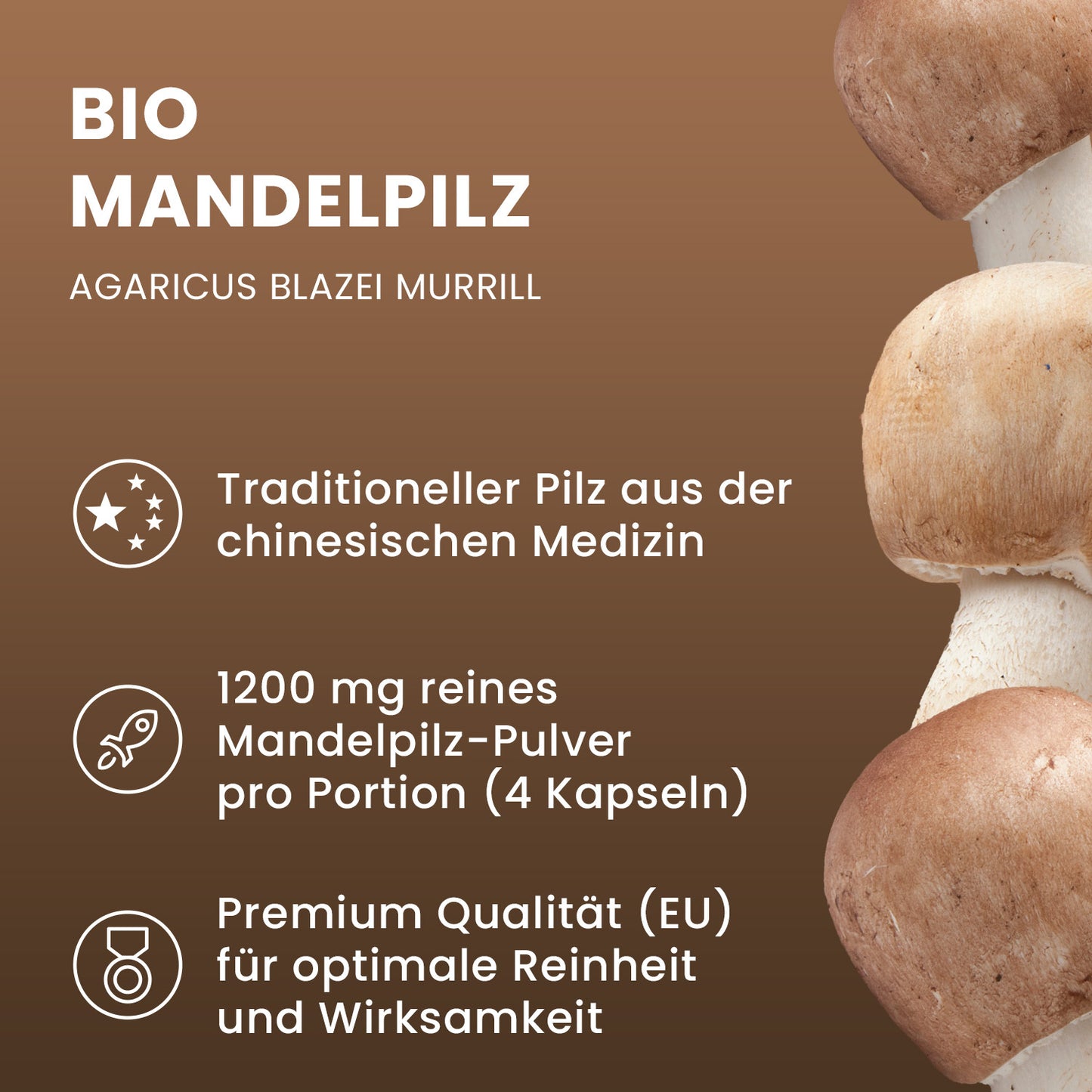 Bio Mandelpilz (ABM) Pulver Kapseln 120 Stk