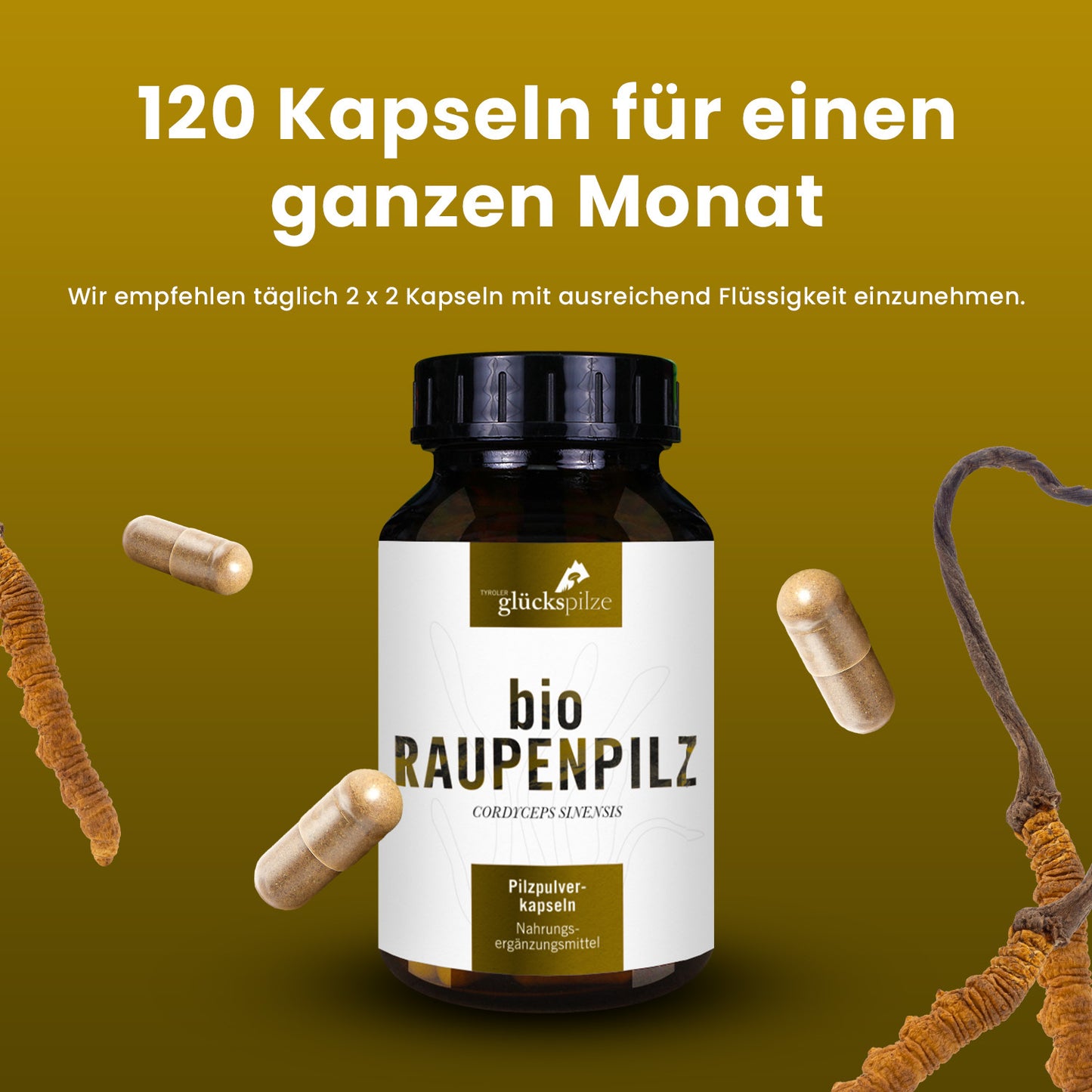 Bio Cordyceps sinensis (Raupenpilz) Pulver Kapseln 120 Stk
