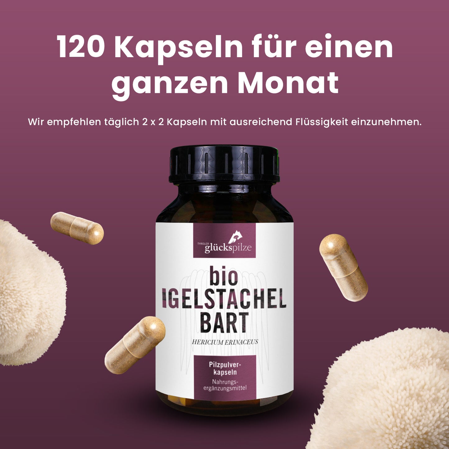 Bio Igelstachelbart (Hericium) Pulver Kapseln 120 Stk