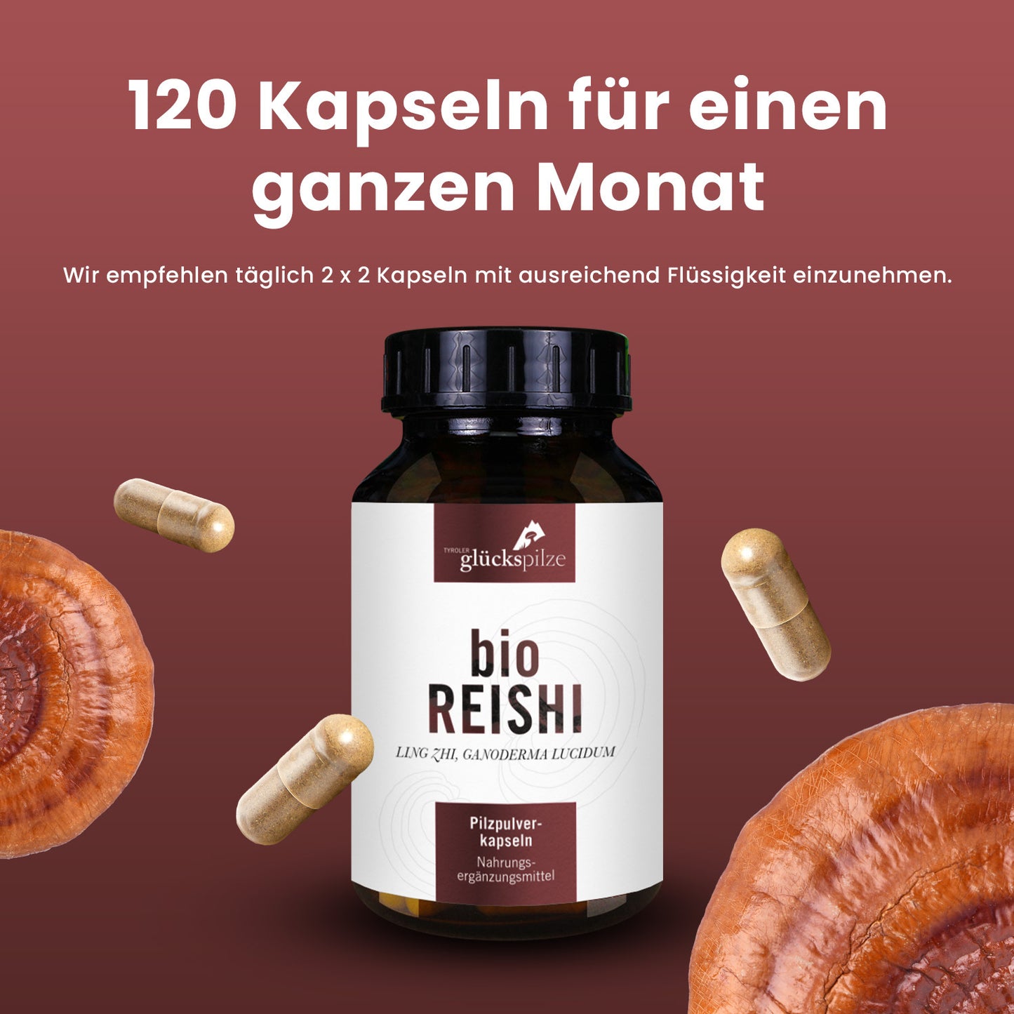 Bio Reishi (Gandoderma lucidum) Pulver Kapseln 120 Stk