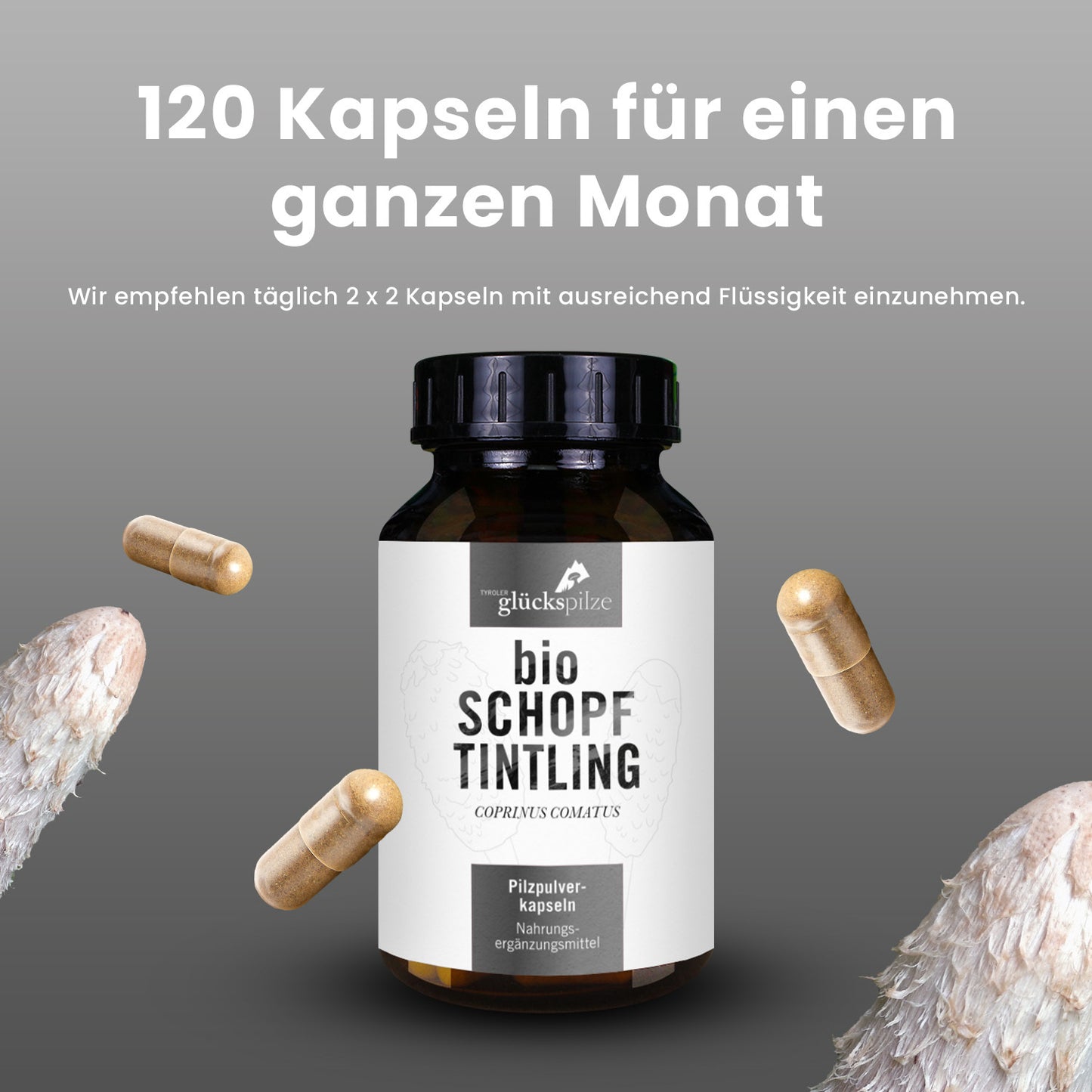 Bio Coprinus (Schopftintling) Pulver Kapseln 120 Stk