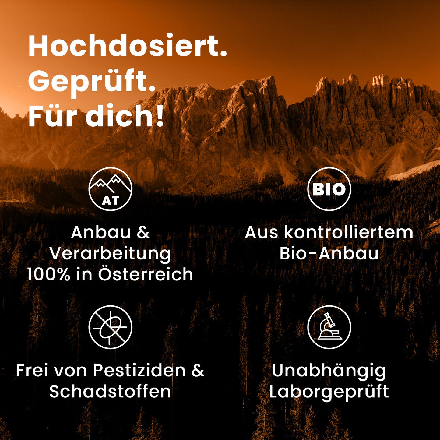 Bio Chaga Pulver Kapseln 120 Stk