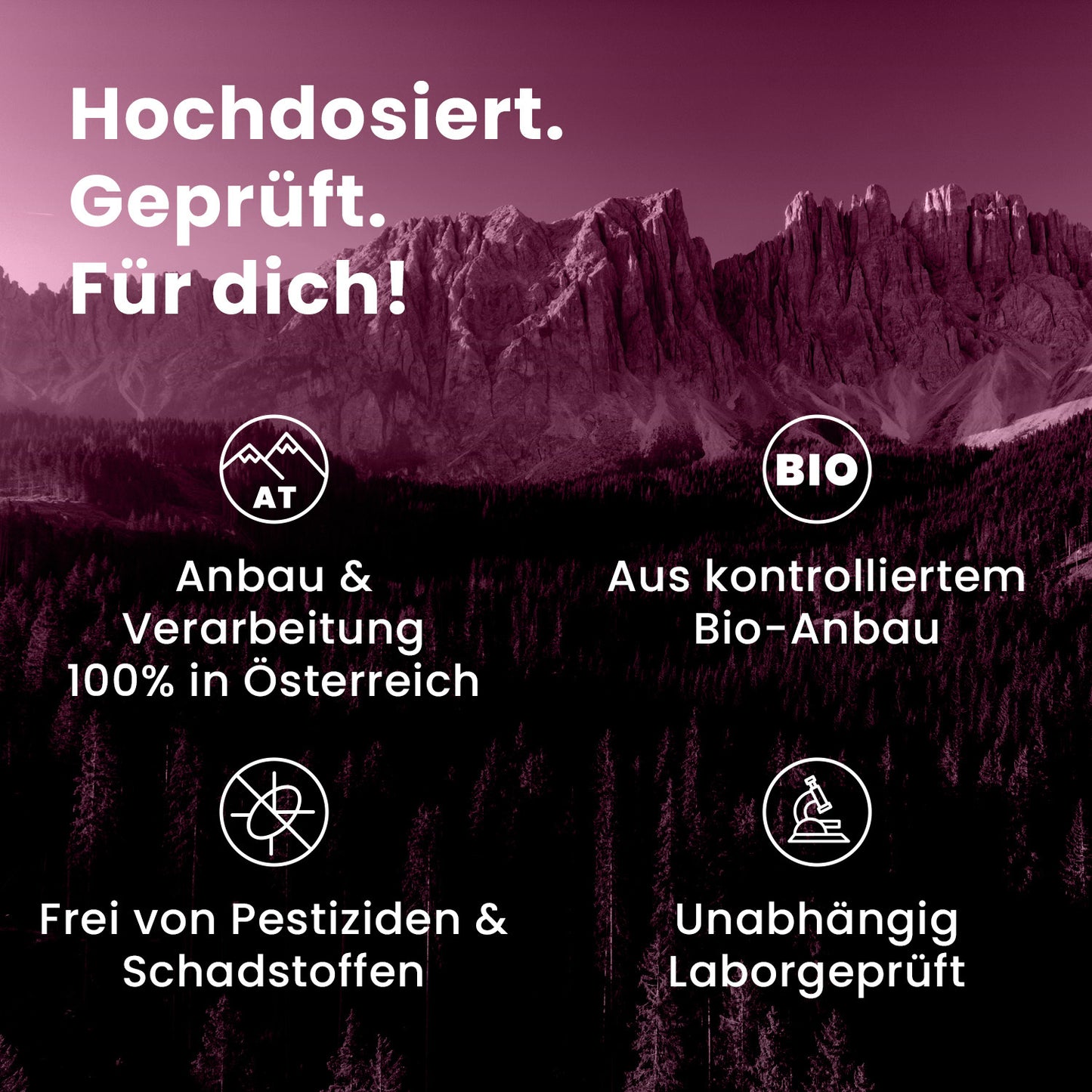 Bio Igelstachelbart (Hericium) Pulver Kapseln 120 Stk