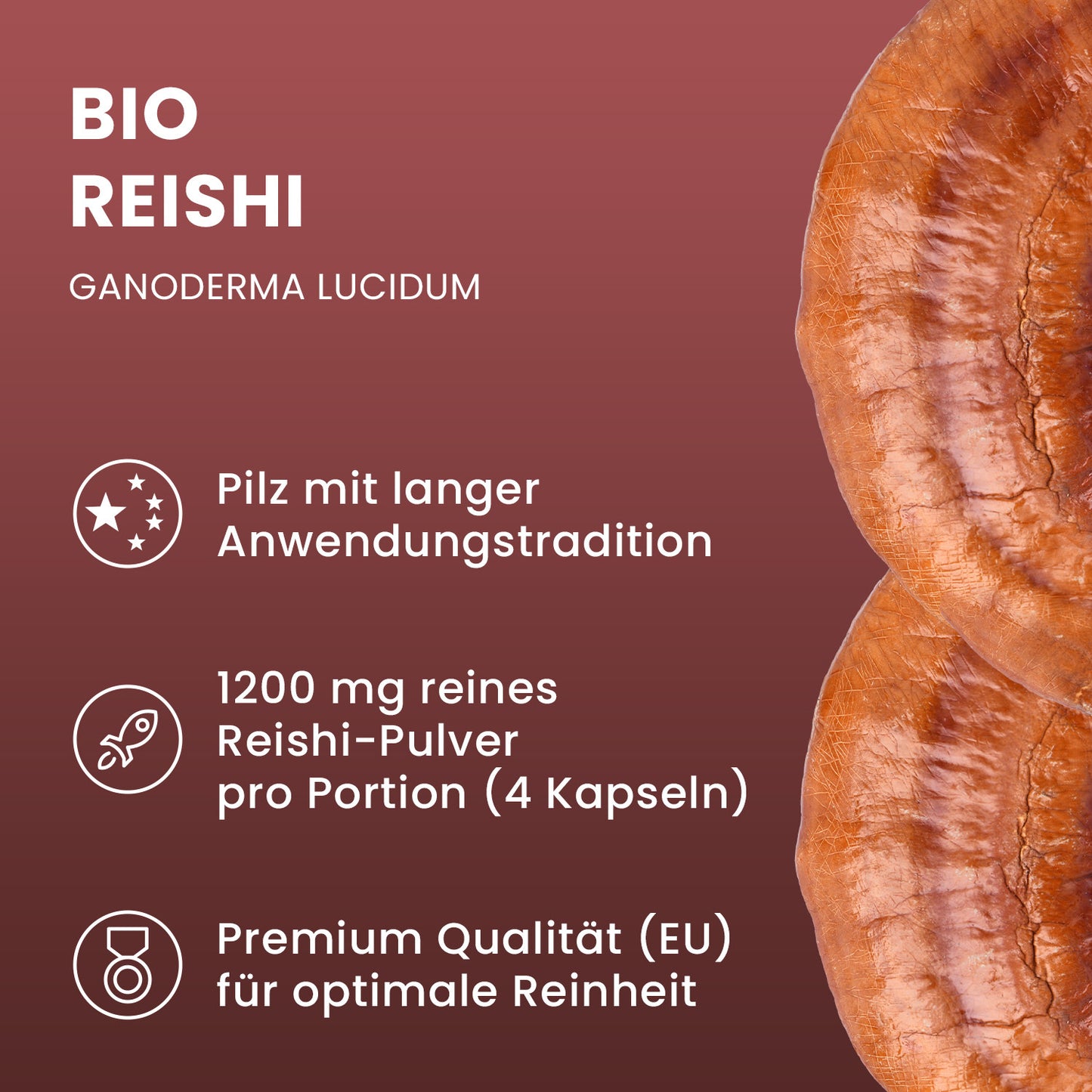Bio Reishi (Gandoderma lucidum) Pulver Kapseln 120 Stk