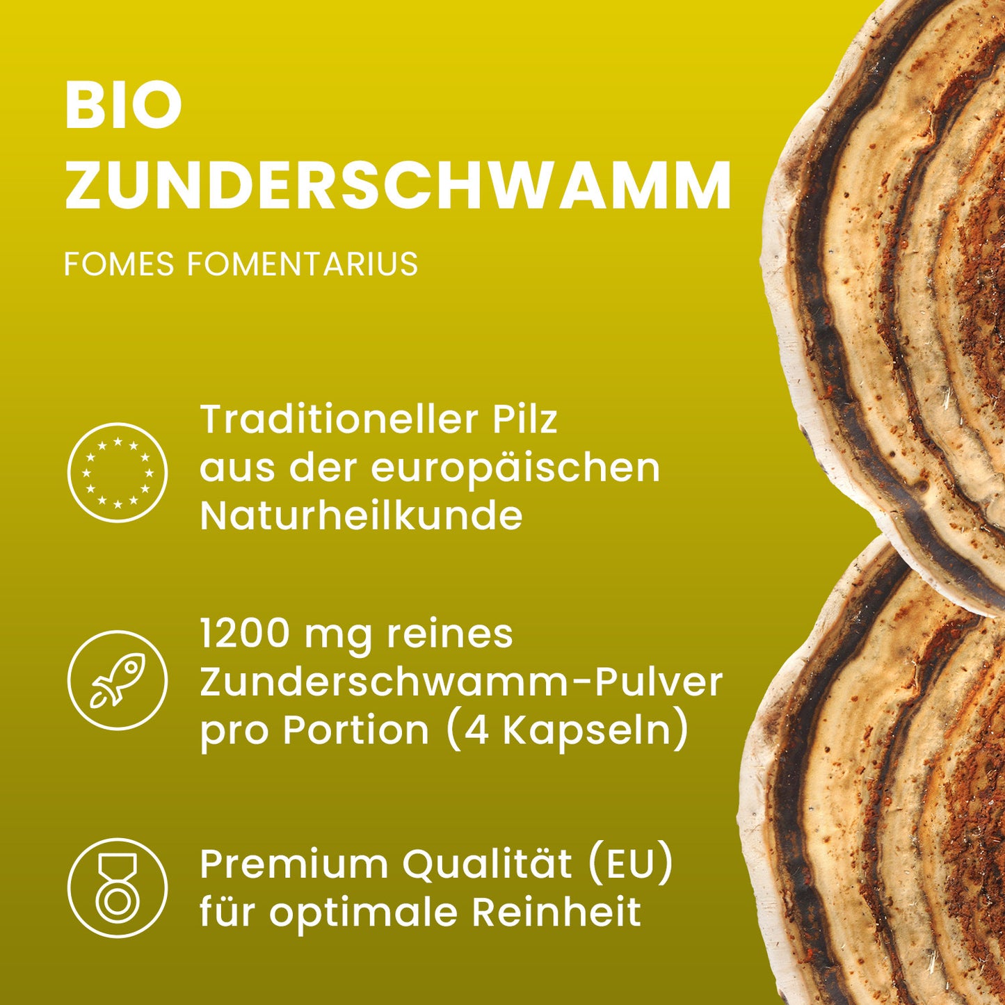 Bio Zunderschwamm Pulver Kapseln 120 Stk