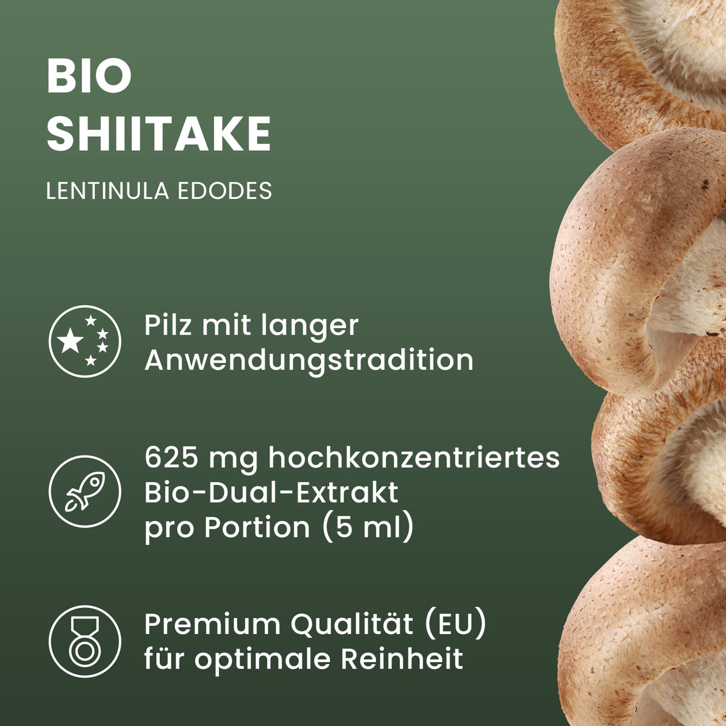 Organic Shiitake liquid extract 100 ml