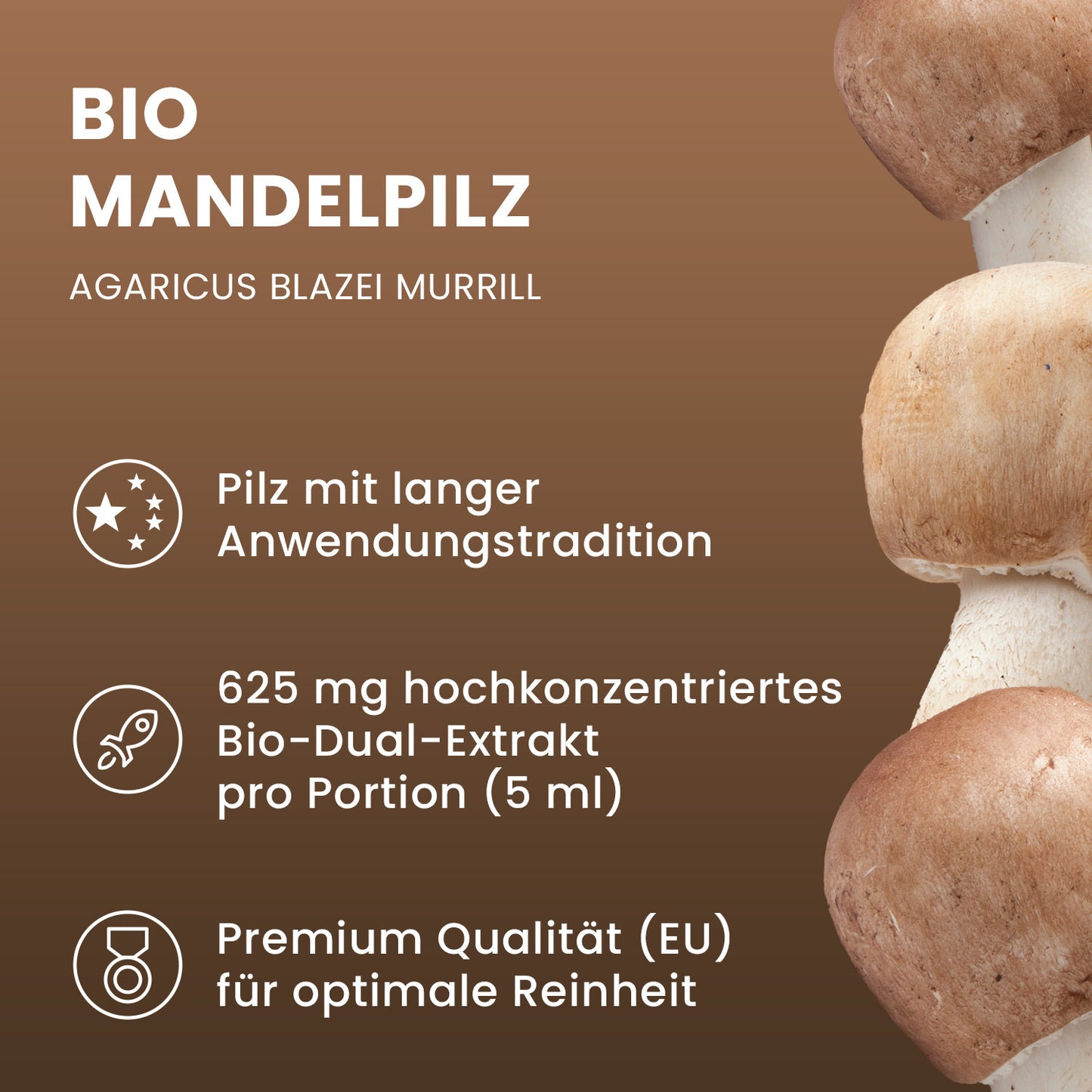 Bio Mandelpilz (ABM) Flüssigextrakt 100 ml