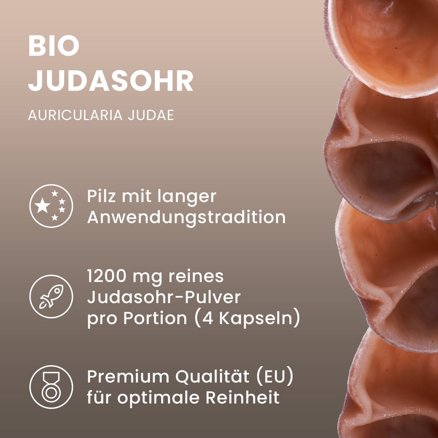 Bio Auricularia (Judasohr) Pulver Kapseln 120 Stk