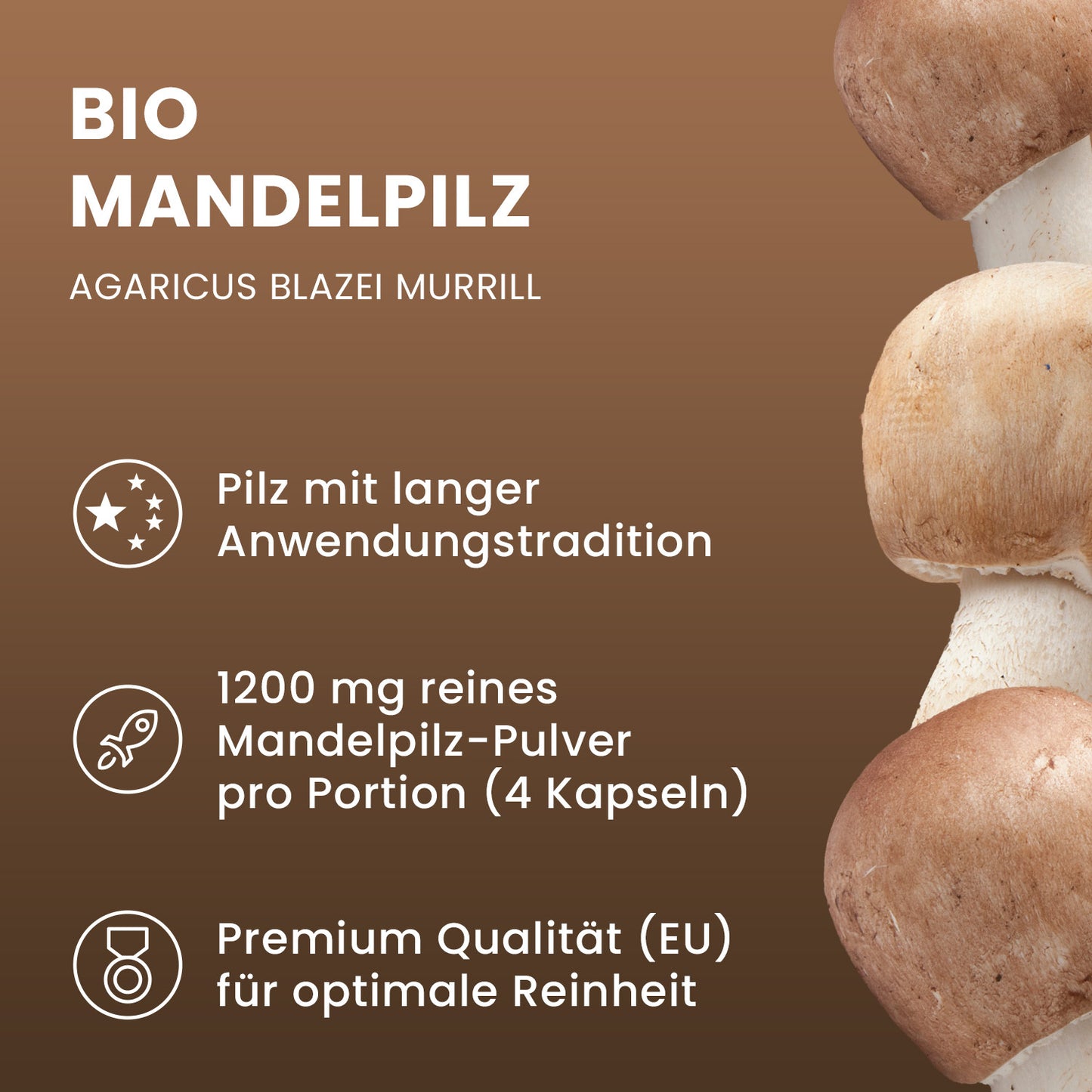Bio Mandelpilz (ABM) Pulver Kapseln 120 Stk