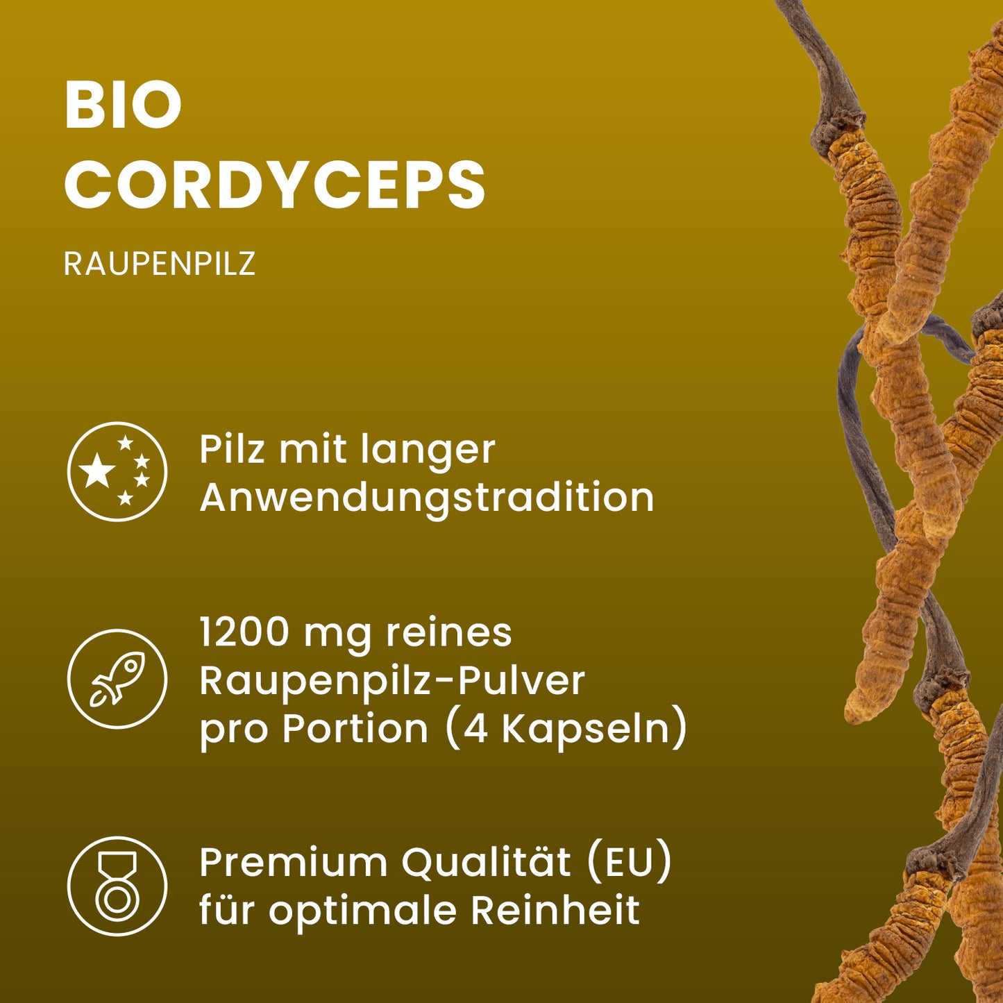 Bio Cordyceps sinensis (Raupenpilz) Pulver Kapseln 120 Stk