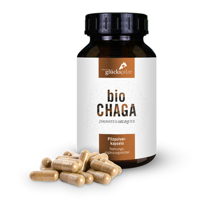 Bio Chaga Pulver Kapseln 120 Stk