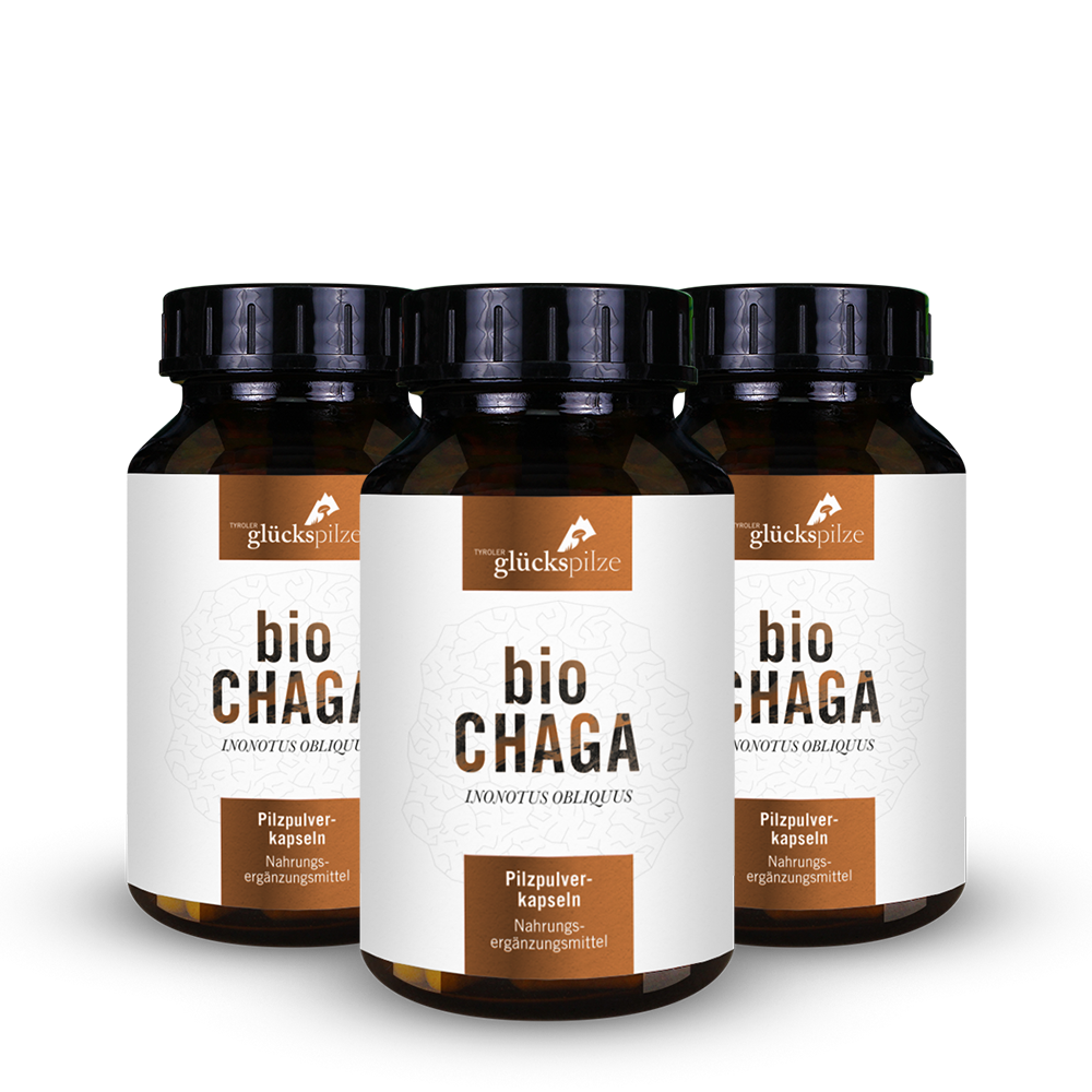 Bio Chaga Pulver Kapseln 120 Stk