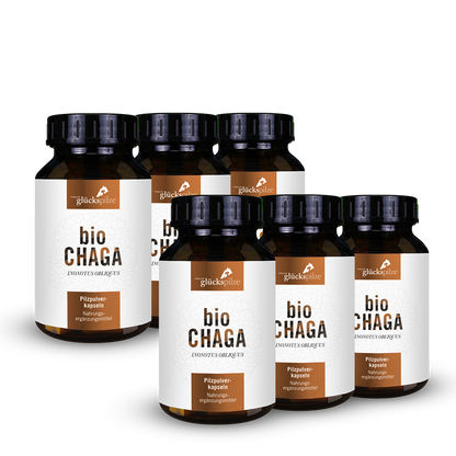 Organic Chaga powder capsules 120 pieces