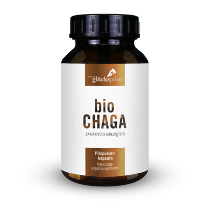 Bio Chaga Pulver Kapseln 120 Stk