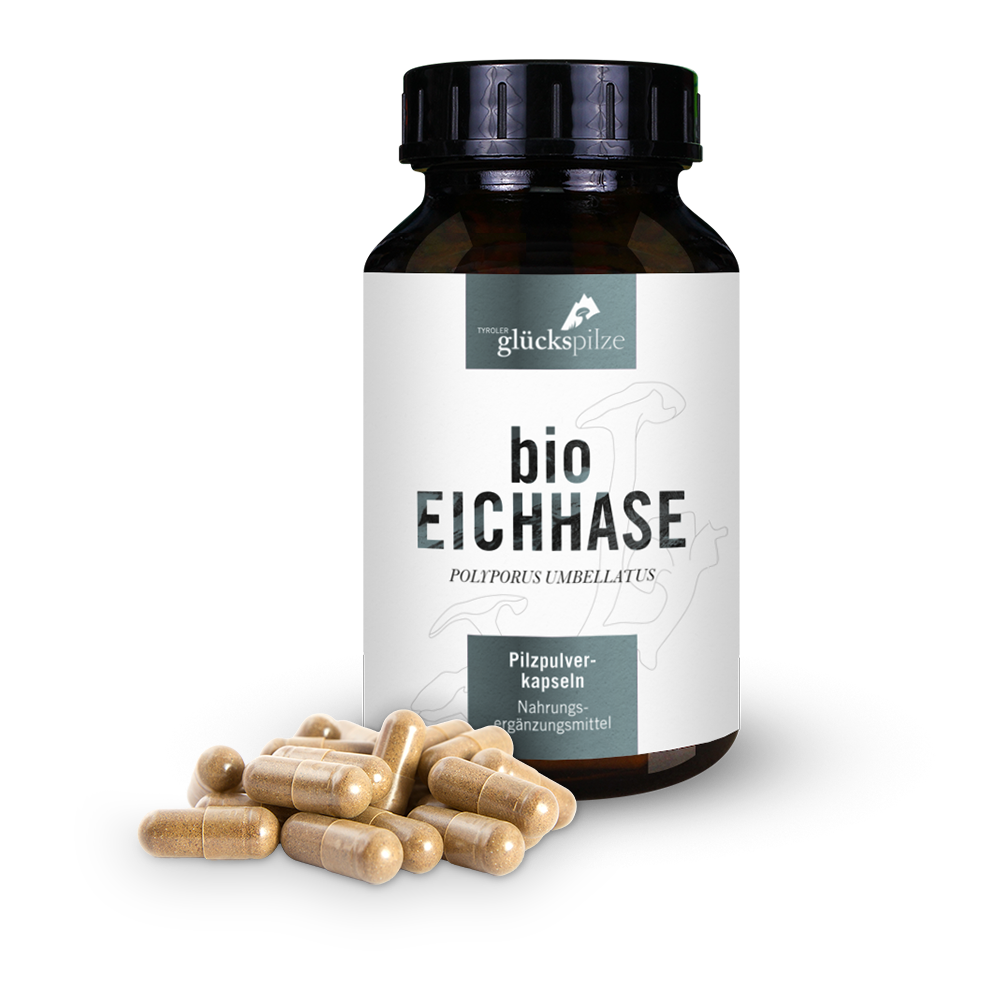 Organic Eichhase (Polyporus) powder capsules 120 pieces