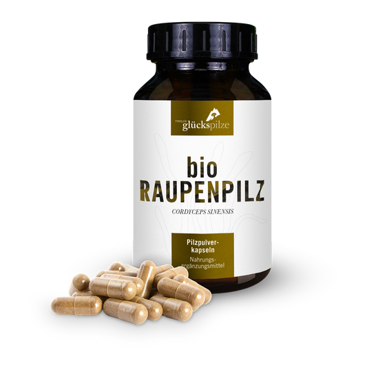 Bio Cordyceps sinensis (Raupenpilz) Pulver Kapseln 120 Stk