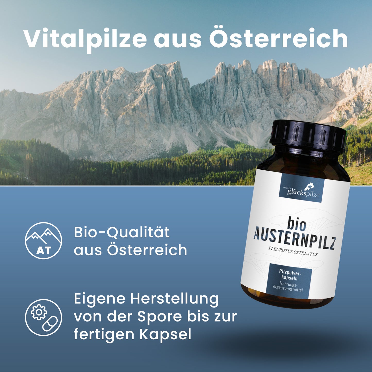 Bio Austernpilz (Pleurotus ostreatus) Pulver Kapseln 120 Stk