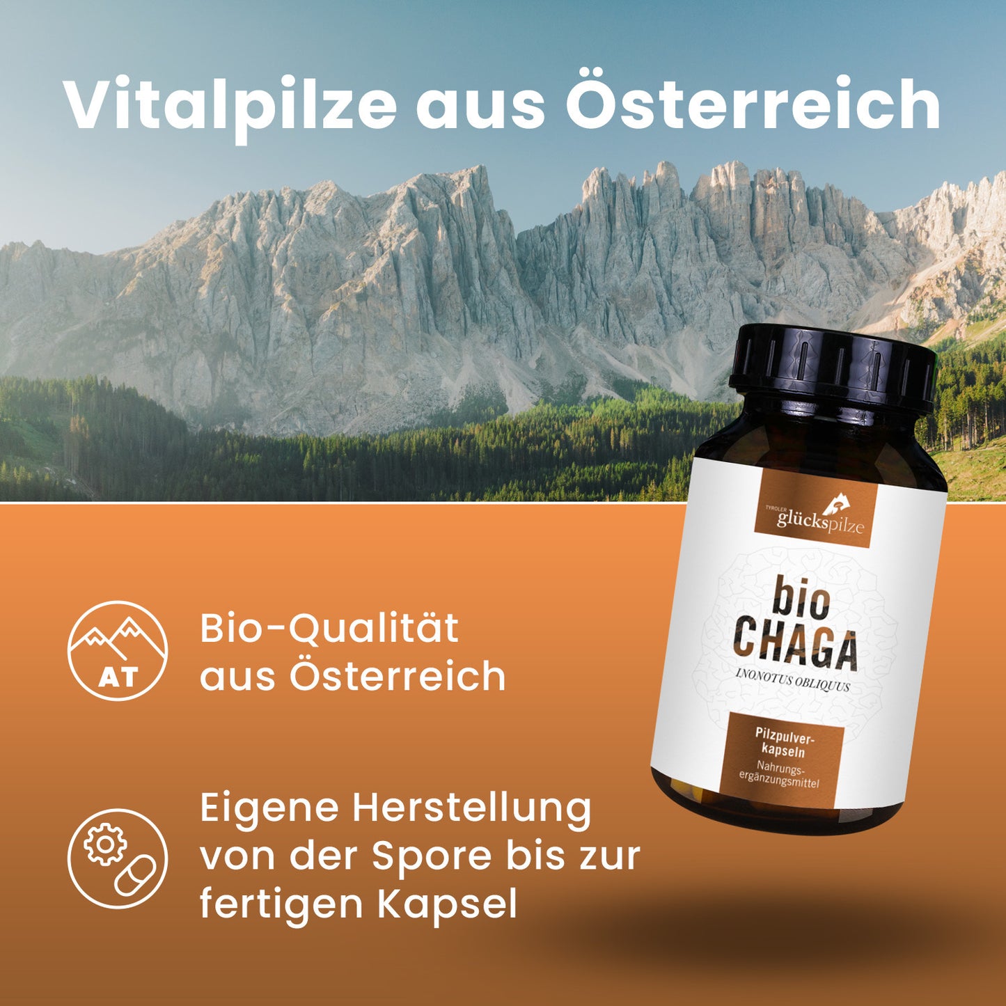 Organic Chaga powder capsules 120 pieces