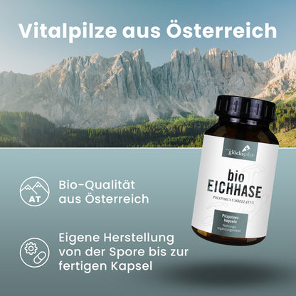 Bio Eichhase (Polyporus) Pulver Kapseln 120 Stk