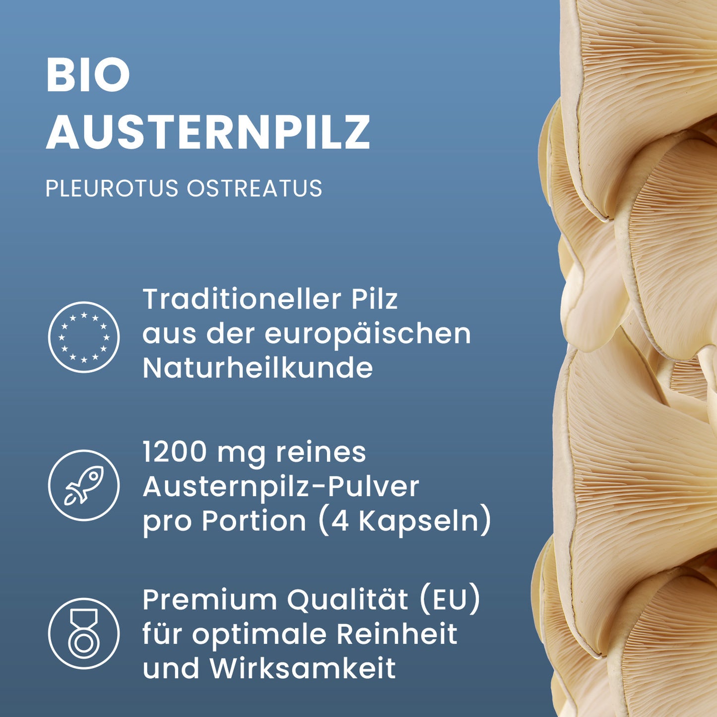 Bio Austernpilz (Pleurotus ostreatus) Pulver Kapseln 120 Stk