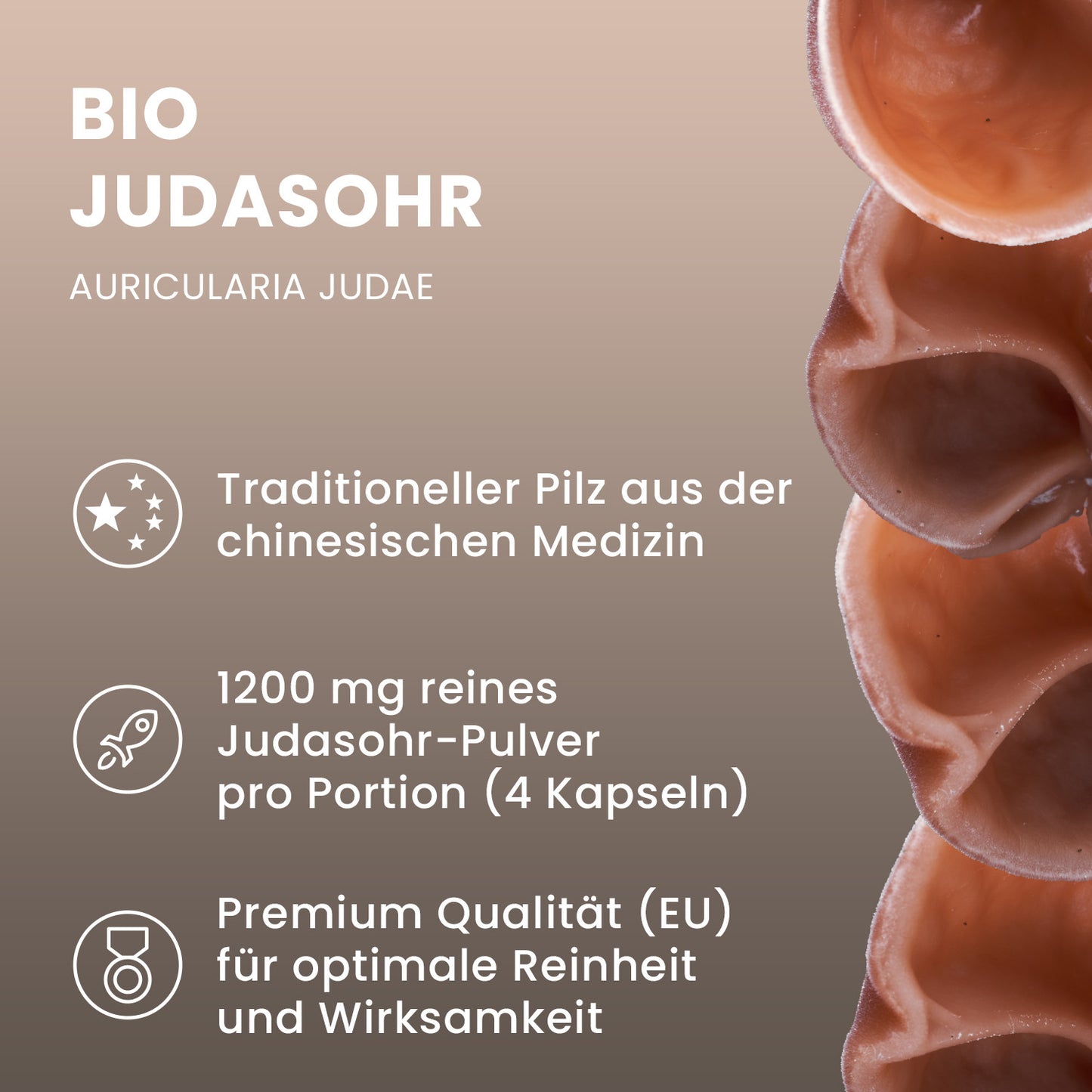 Bio Auricularia (Judasohr) Pulver Kapseln 120 Stk