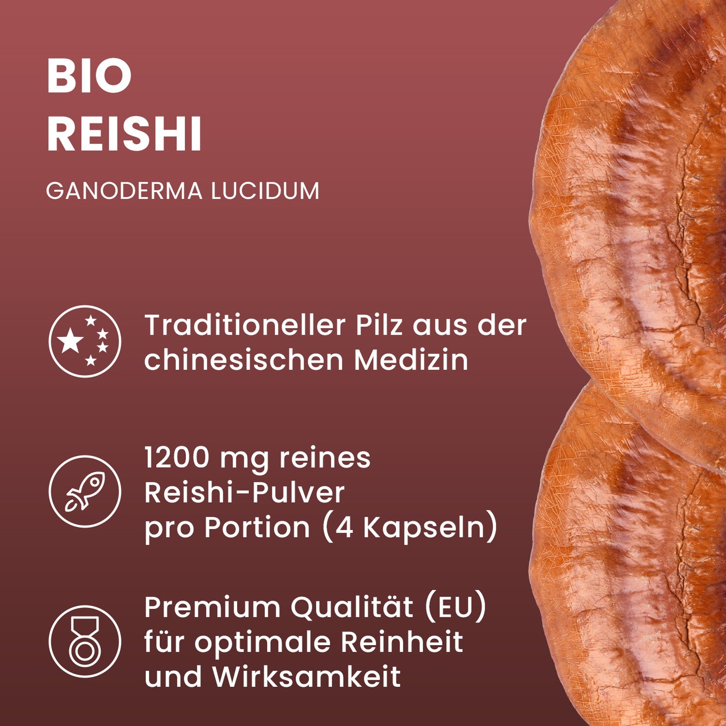 Organic Reishi powder capsules 120 pieces