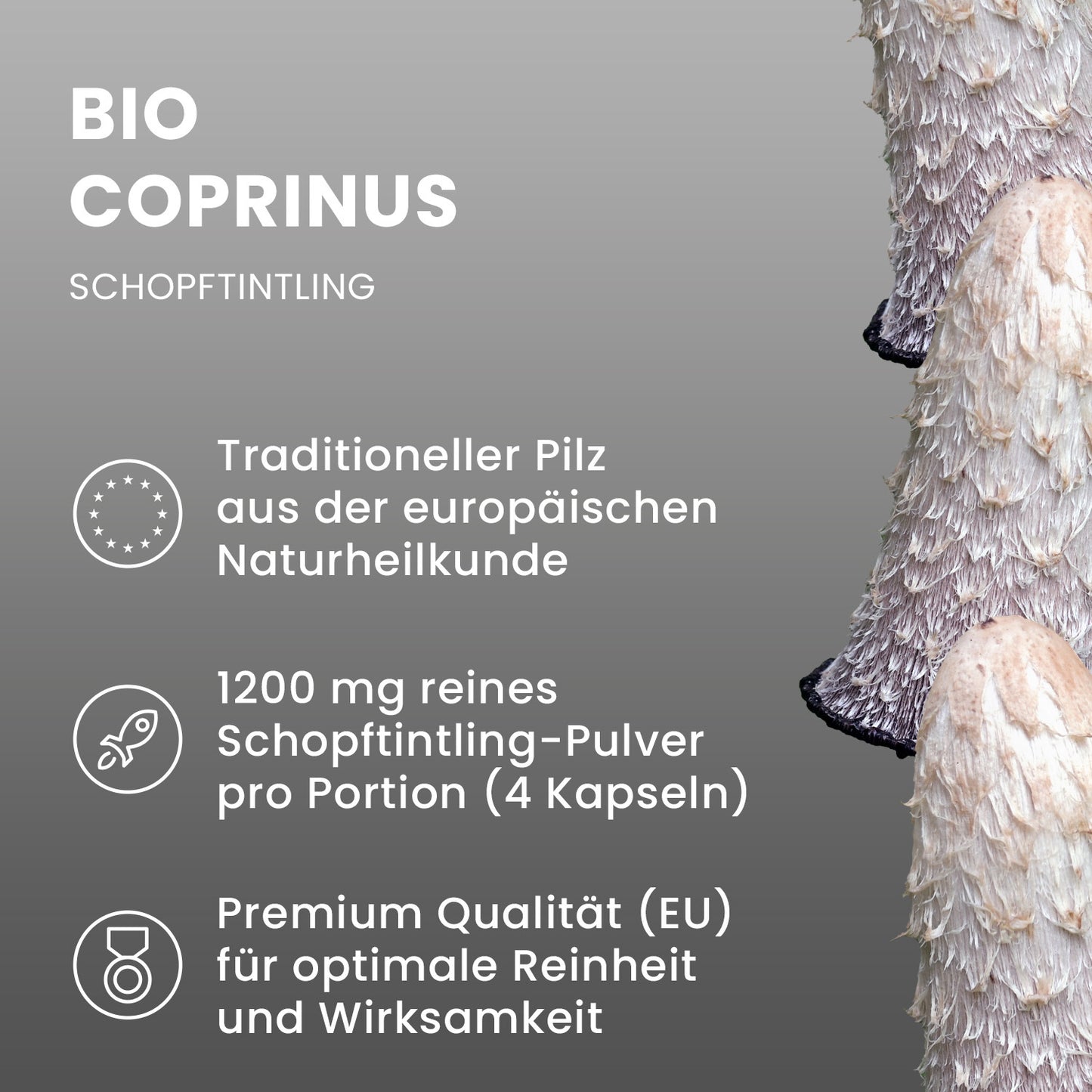 Organic Coprinus powder capsules 120 pieces