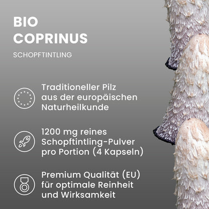 Organic Coprinus powder capsules 120 pieces