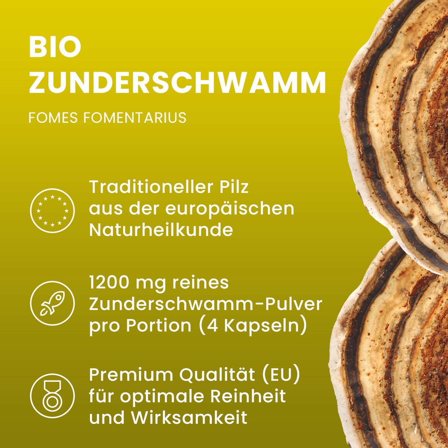 Bio Zunderschwamm Pulver Kapseln 120 Stk