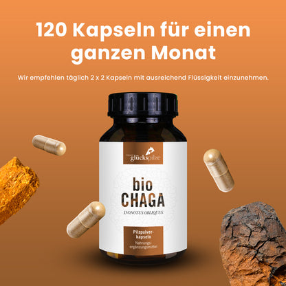 Organic Chaga powder capsules 120 pieces