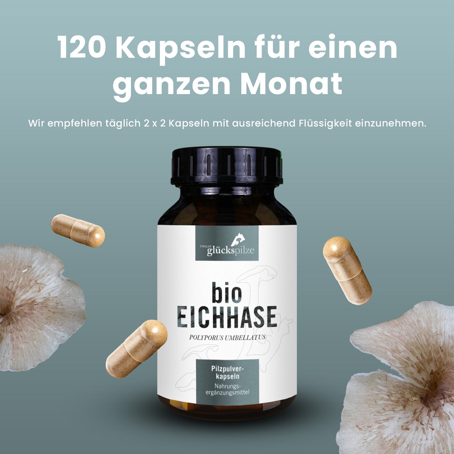 Bio Eichhase (Polyporus) Pulver Kapseln 120 Stk