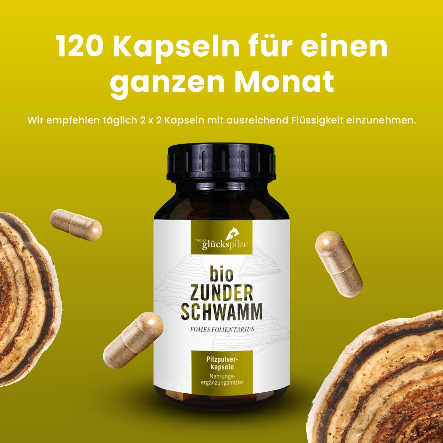 Bio Zunderschwamm Pulver Kapseln 120 Stk