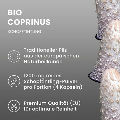 Bio Coprinus (Schopftintling) Pulver Kapseln 120 Stk