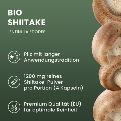 Bio Shiitake Pulver Kapseln 120 Stk