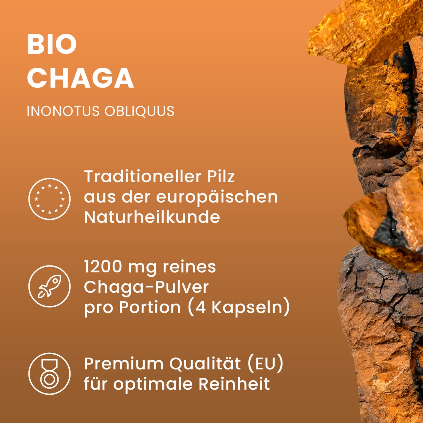 Bio Chaga Pulver Kapseln 120 Stk
