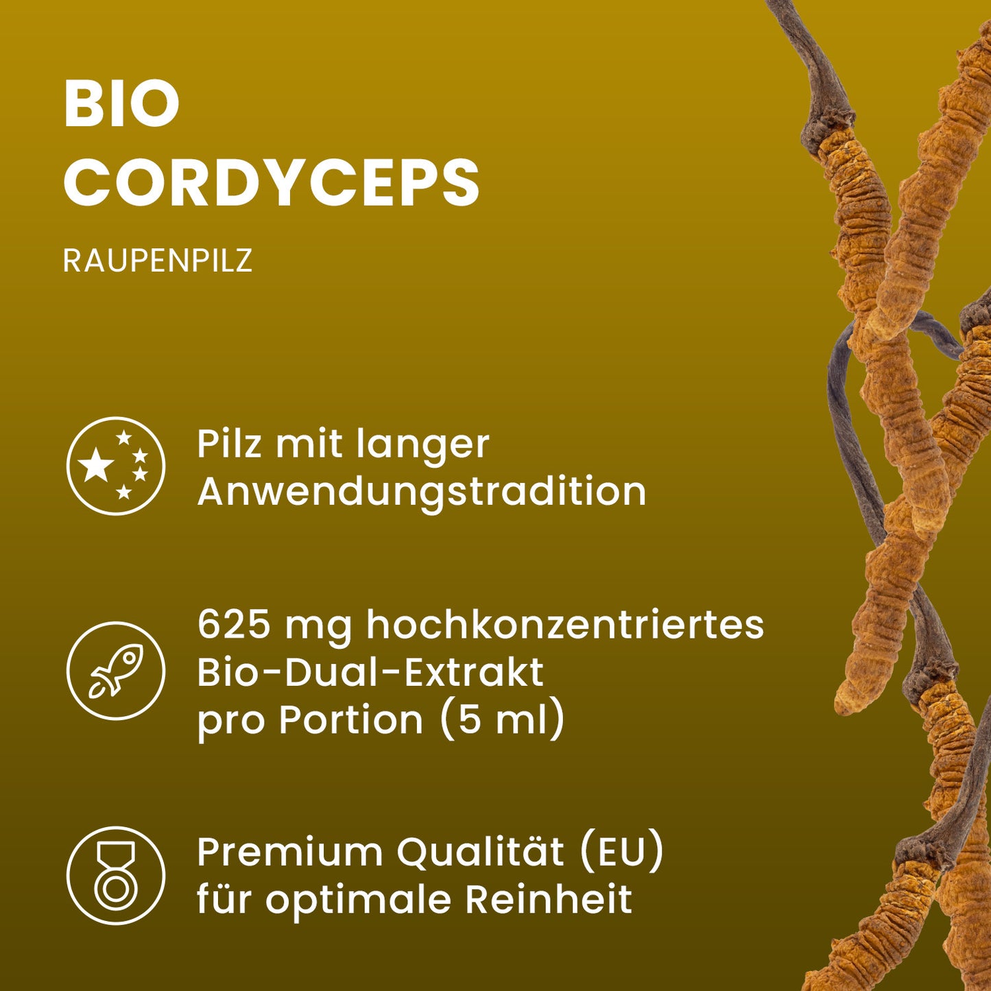Bio Cordyceps sinensis (Raupenpilz) Flüssigextrakt 100 ml