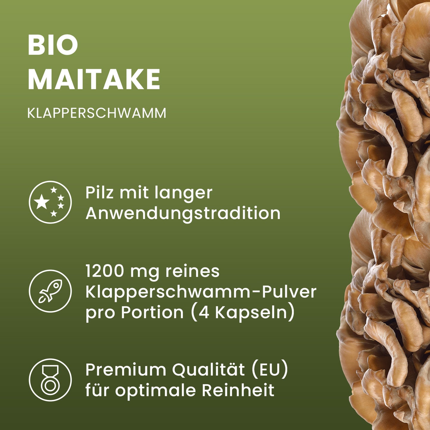 Bio Maitake Pulver Kapseln 120 Stk