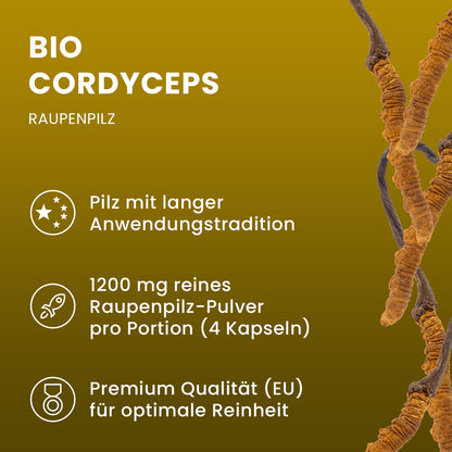 Bio Cordyceps sinensis (Raupenpilz) Pulver Kapseln 120 Stk