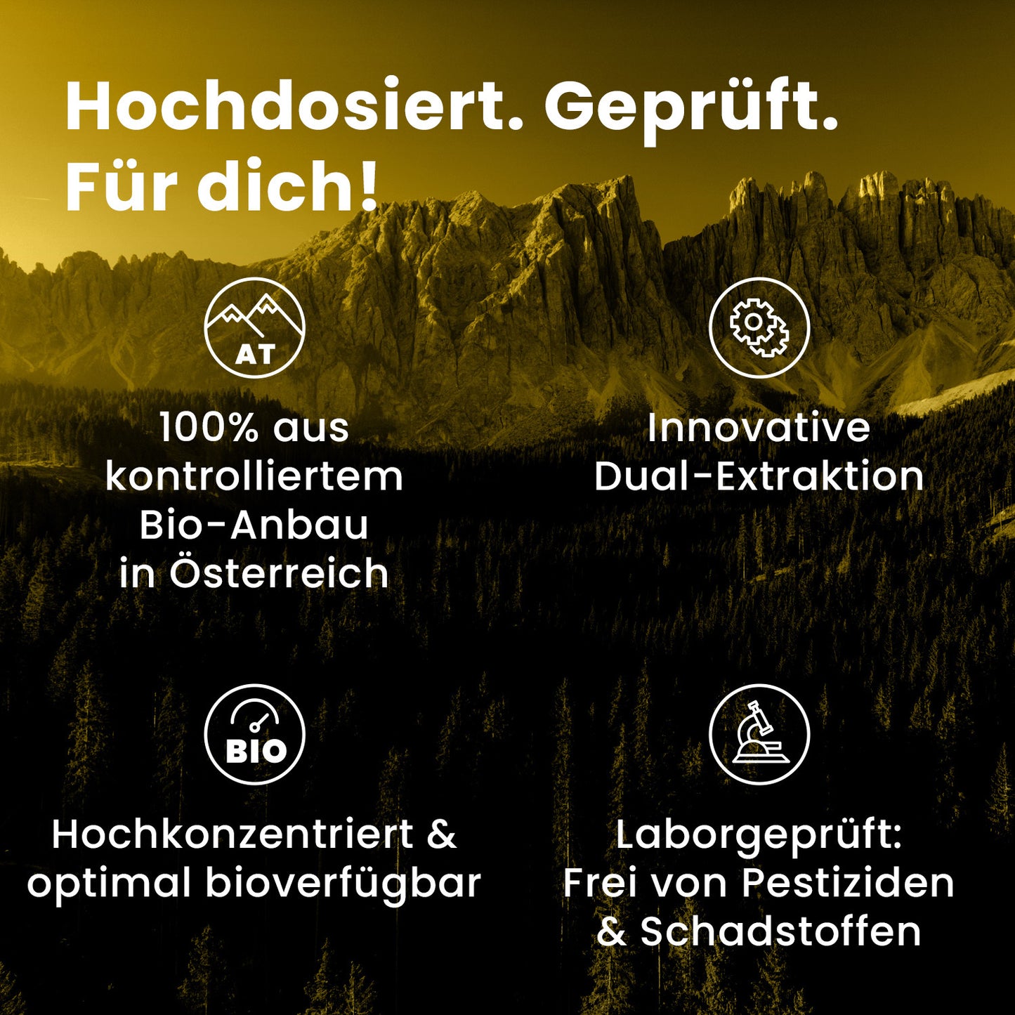 Bio Cordyceps sinensis (Raupenpilz) Flüssigextrakt 100 ml