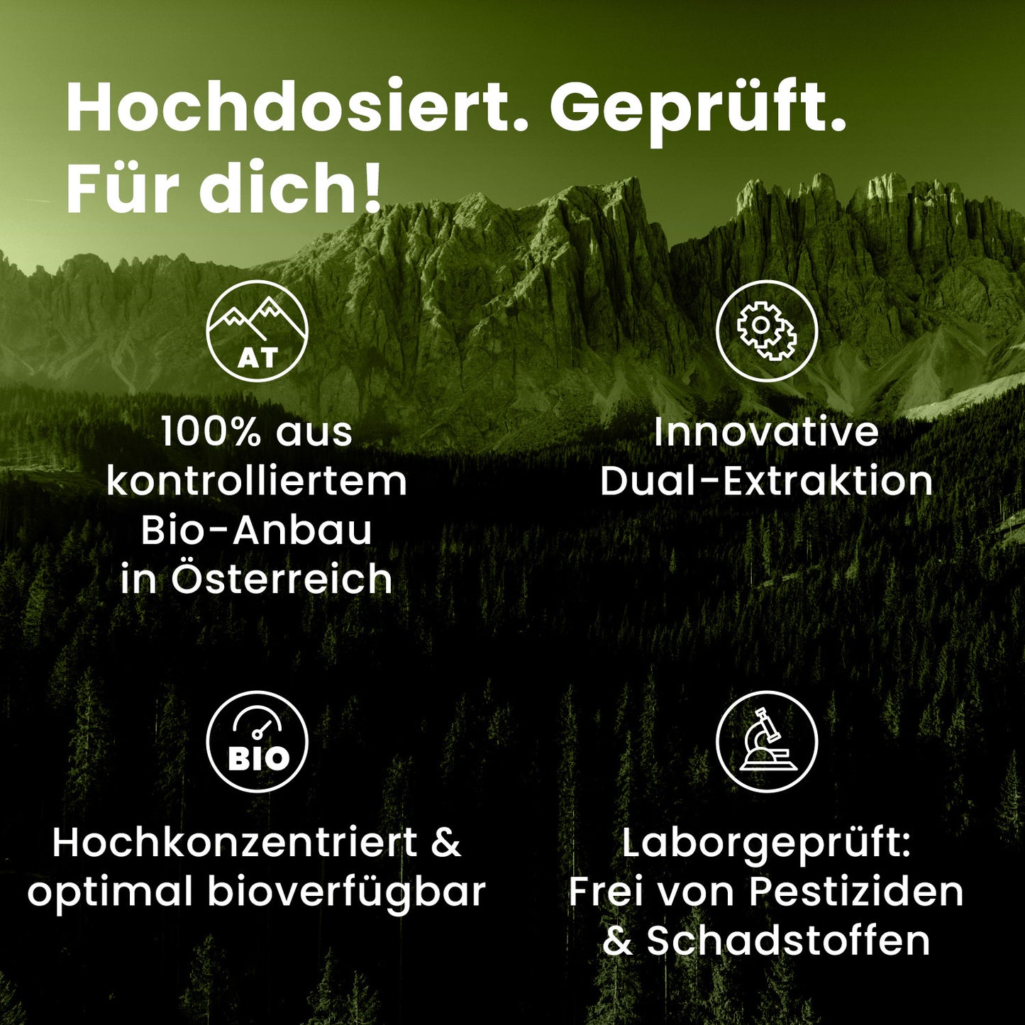 Bio Maitake Flüssigextrakt 100 ml